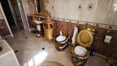 Фото - Имущество «гаишника с золотым унитазом» на 180 млн рублей изъяли в пользу государства