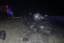 Фото - В Татарстане два человека погибли в ДТП из-за кабана на дороге