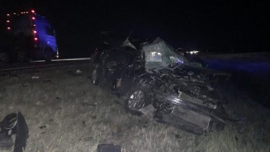 Фото - В Татарстане два человека погибли в ДТП из-за кабана на дороге